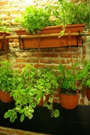 Jardin 1.jpg